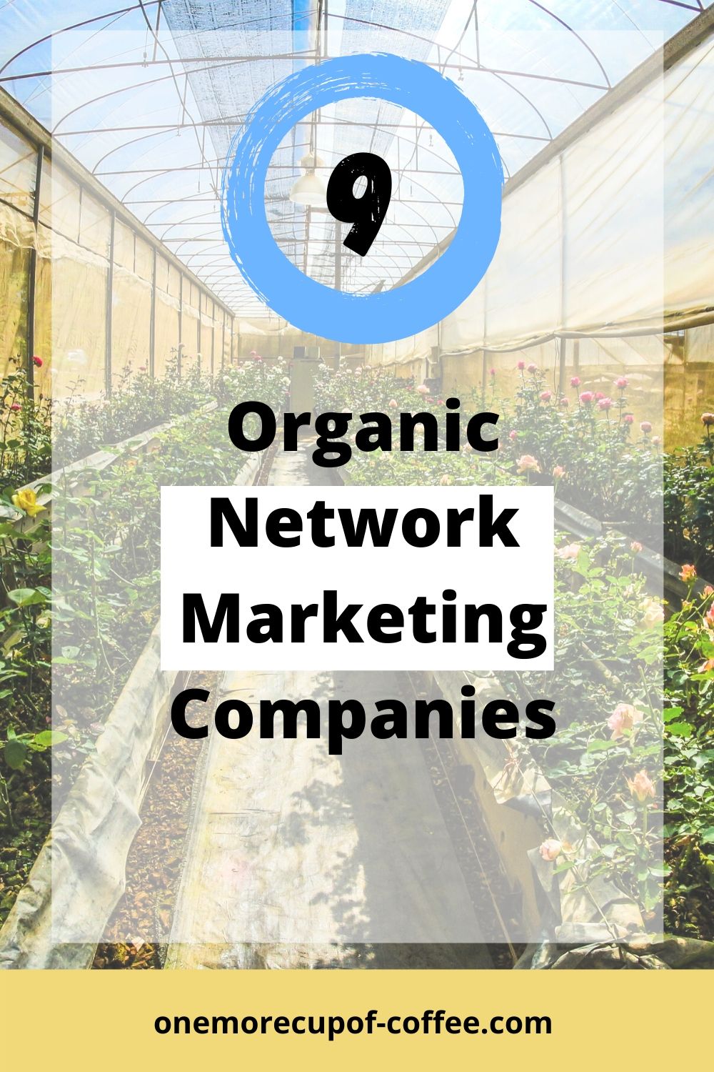 Greenhouse with plants to represent organic network marketing companies