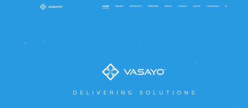 Vasayo website screenshot showing a light blue background and the words ‘Vasayo Delivering Solutions’. 