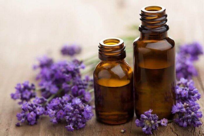 image of lavender oil representing the best Beauty and Cosmetic Affiliate Programs