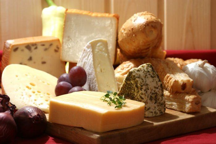 Various types of organic cheese representing the best Organic Food Affiliate Programs