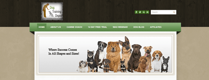 Dog Training Depot website screenshot showing a collection of dogs from different breeds, all facing the camera. 