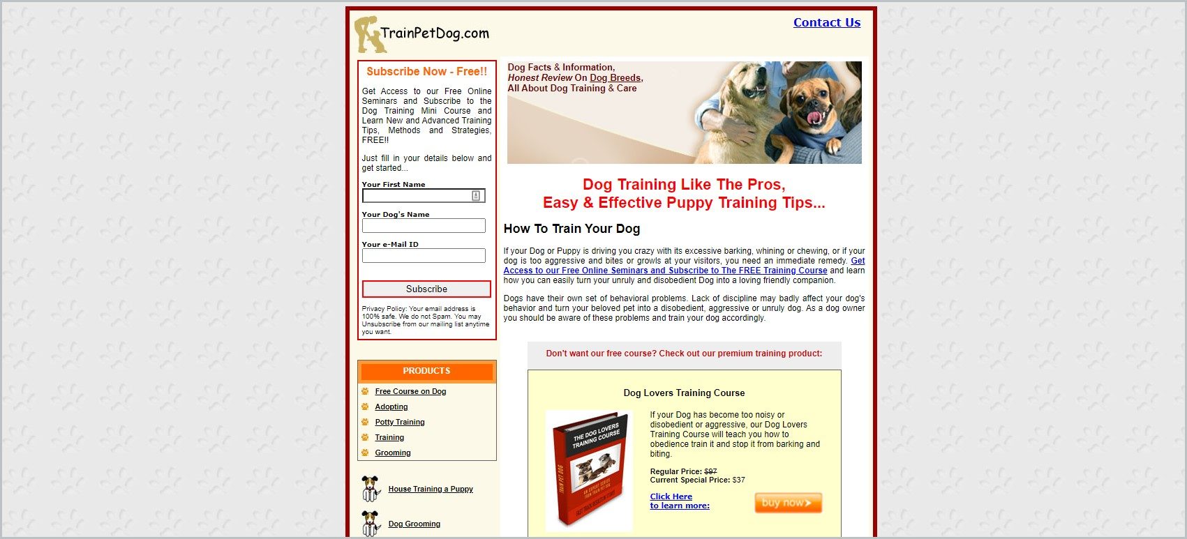 Top 10 Dog Training Affiliate Programs To Make Fluffy Earn His Rent