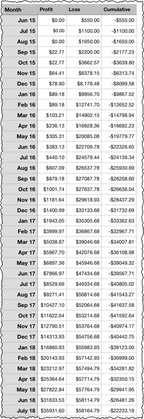 profit loss niche website spreadsheet