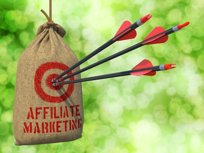How Much Money Can You Earn From Twitch? | One More Cup of Coffee sand bag hanging in the forest with arrows hitting the center and the word "affiliate marketing" on the bag
