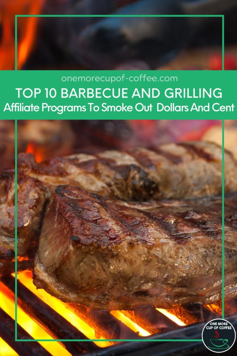 Top 10 Barbecue and Grilling Affiliate Programs To Smoke Out Dollars