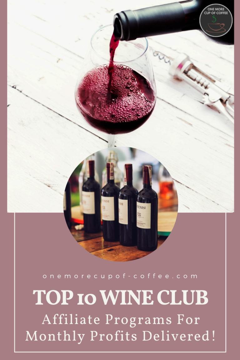 Top 10 Wine Club Affiliate Programs For Monthly Profits Delivered