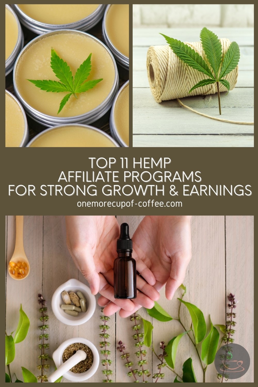 photo collage of hemp and hemp products, with text overlay "Top 11 Hemp Affiliate Programs For Strong Growth & Earnings"