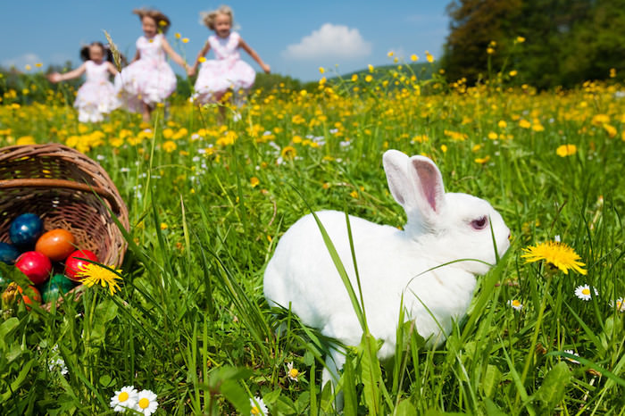 closeup of white rabbit in a field of grass and colorful eggs with small children running in the background representing easter affiliate programs