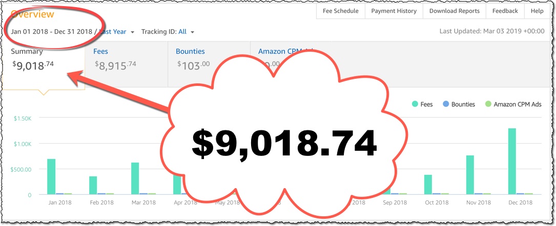 amazon 2018 affiliate earnings