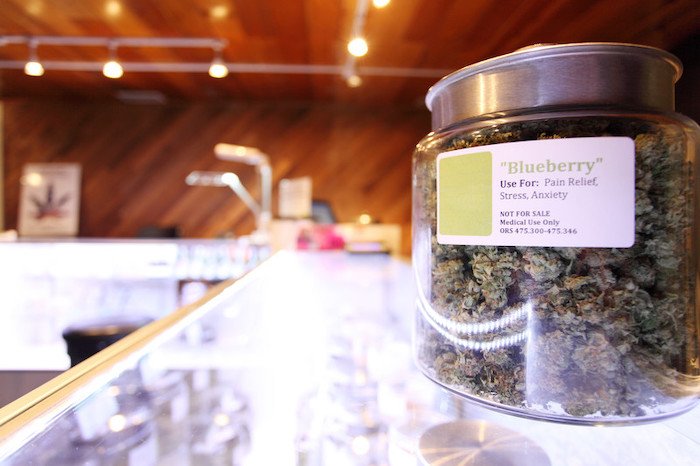 inside medical marijuana facility with closeup of "blueberry" buds for pain relief