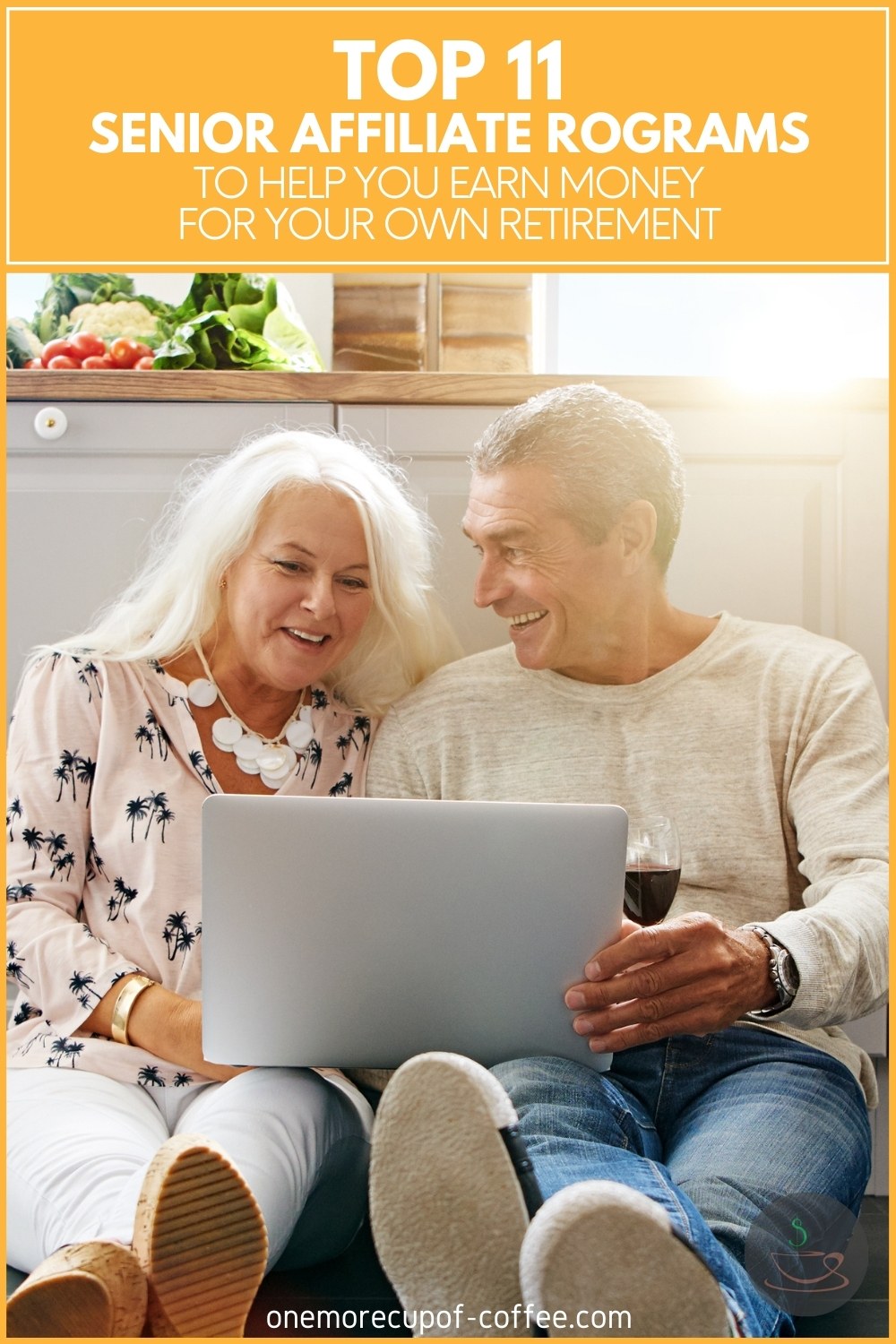 happy elderly couple sitting on the floor together with an open laptop and wine, with text overlay "Top 11 Senior Affiliate Programs To Help You Earn Money For Your Own Retirement"