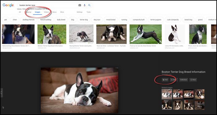 google image search rankings