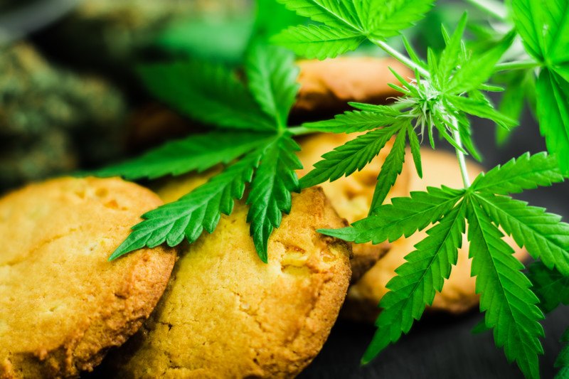 This photo shows a stack of cookies next to a hemp plant, representing the best CBD edible affiliate programs.