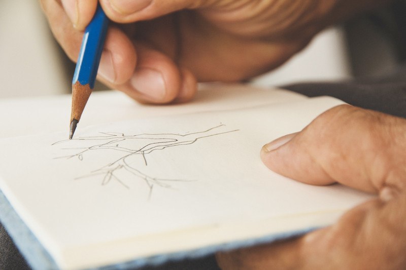 This photo shows the hands of a man holding a sketch book and sketching a tree with a blue pencil, representing the best sketching affiliate programs