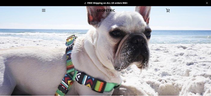 This screenshot for the home page of Geopetrics shows a dog with a fancy collar and leash lying on a sandy beach.