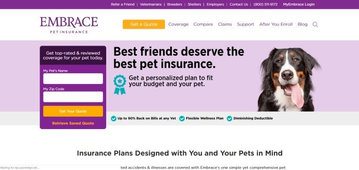 This screenshot of the home page for Embrace Pet Insurance has a lavender background with the photo of a black and white dog, along with the words "Best friends deserve the best pet insurance."