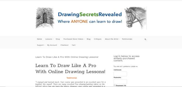 This screenshot of the home page for Learn to Draw like a Pro has the words