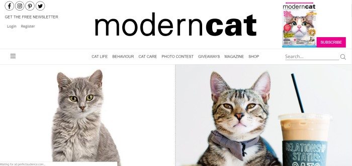 The screenshot of the home page for Modern Cat magazine shows two photographs of gray cats against a white background and a gray background.