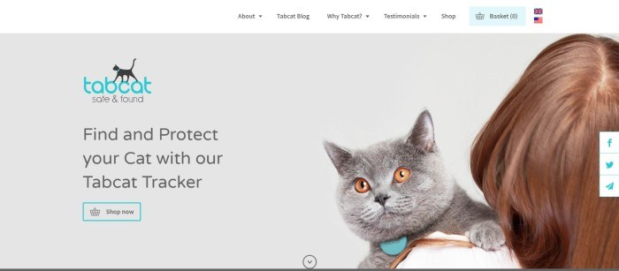 This screenshot of the home page for Tabcat shows a woman with brown hair holding a gray cat with yellow eyes against a gray background. 