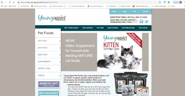 This screenshot of the home page for Young Again Pet Food has a beige background with a large white window containing various text boxes and a picture of two gray and white cats.