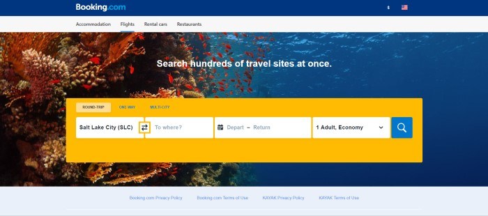 This screenshot for the landing page for flights with Booking.com shows a shot of a coral reef in the ocean along with a yellow search box.