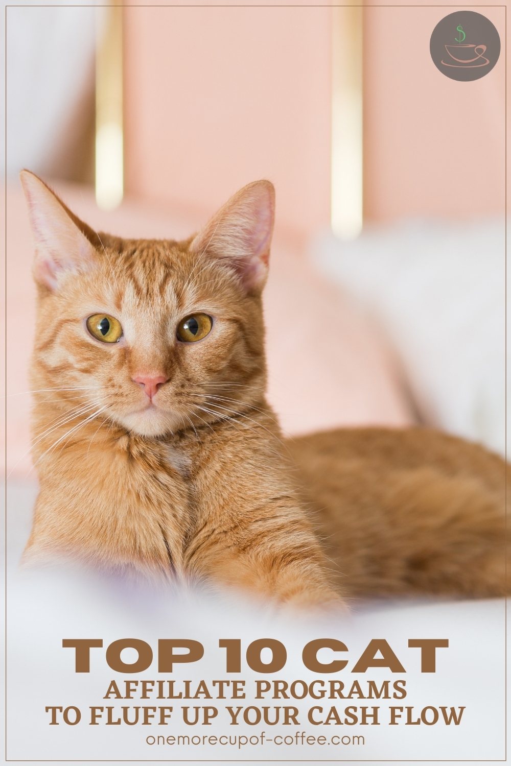 closeup of an orange cat looking straight to the camera, with text overlay "Top 10 Cat Affiliate Programs To Fluff Up Your Cash Flow"