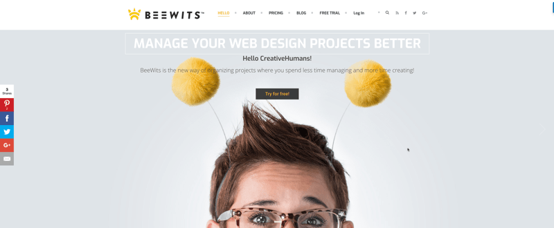 beewits affiliate program screenshot