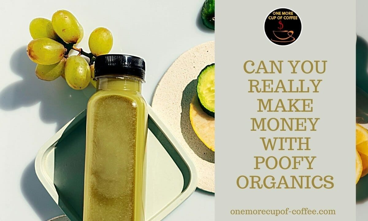 Can You Really Make Money With Poofy Organics featured image