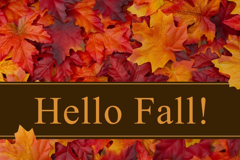 This image is a photo of red and orange maple leaves behind a brown banner with gold lettering that reads 'Hello Fall,' representing the best autumn affiliate programs.