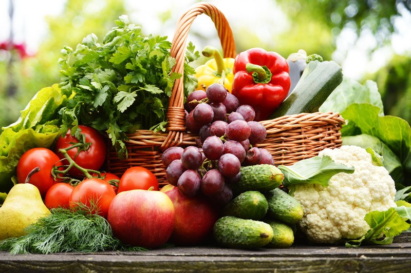 This photo shows a basket of fresh fruits and vegetables, including tomatoes, cucumbers, grapes, and a red bell pepper, representing the best food affiliate programs.