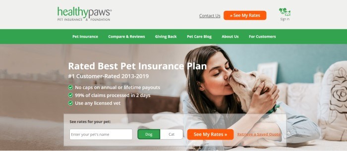 This screenshot of the home page for Healthy Paws has a green navigation bar above a photo of a brunette teenage girl kissing the face of a white dog, along with an information window for getting insurance rates for a dog or a cat.