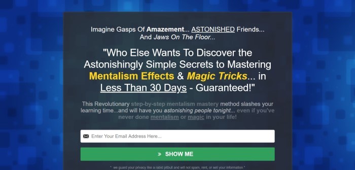 This screenshot of the home page for Master Mentalism has a background made of medium blue and darker blue squares, with a black-background page running in the center with sales text and an opt-in window, along with a green call-to-action button, where interested shoppers can submit their email address for more information.