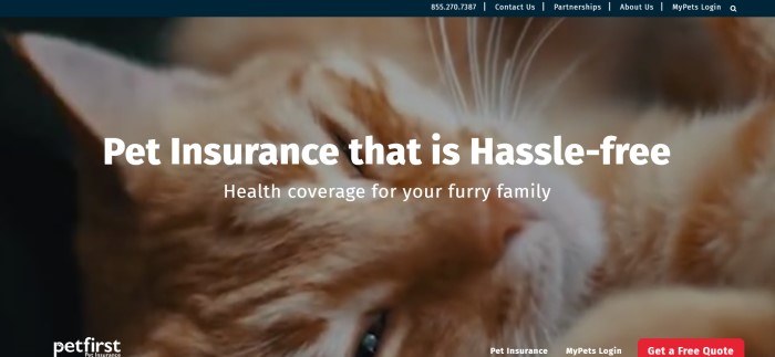 This screenshot of the home page for Petfirst has a large close-up photo of the face of an orange-colored cat, along with white text that reads 'Pet insurance that is hassle-free.'