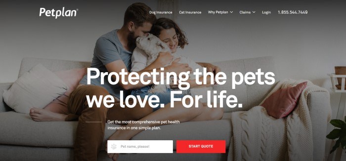 This screenshot of the home page for Petplan shows a gray-filtered photo of a man and a woman snuggling with a white dog on a beige couch, behind white text reading 'Protecting the pets we love, for life,' along with a red call-to-action button.