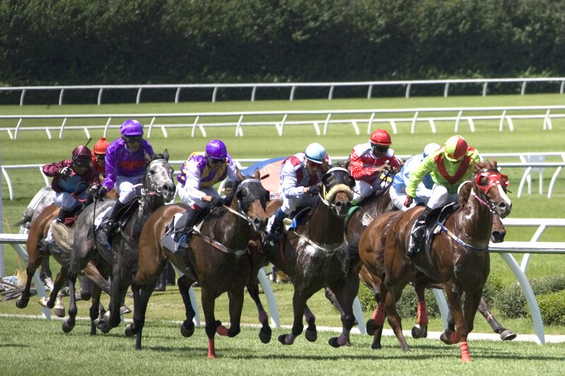 This is a photo of a horse race in which seven horses with jockeys are dashing down a green race track, representing the best bookmaker affiliate programs. 