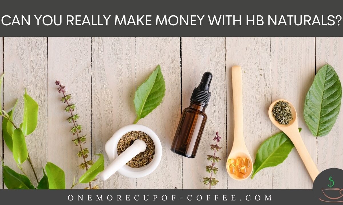 Can You Really Make Money With HB Naturals featured image