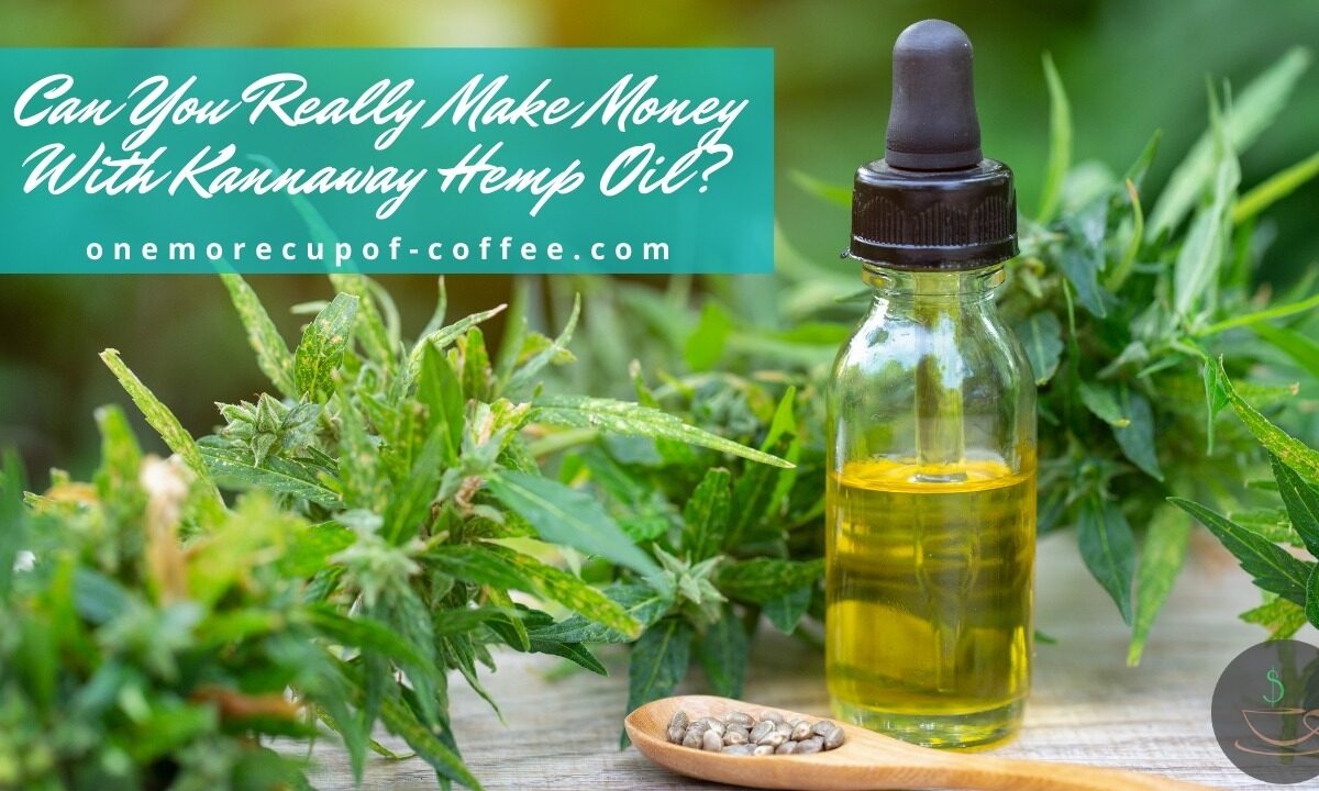 Can You Really Make Money With Kannaway Hemp Oil featured image