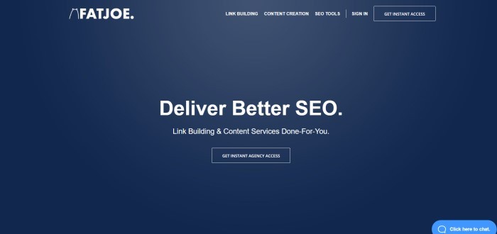 This screenshot of the home page for FatJoe has a dark blue background with white text announcing link building and content services through FatJoe SEO services.