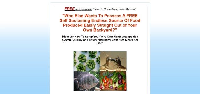 This screenshot of the home page for Aquaponics System How-To includes a light blue background, a white center section, red and black text describing the benefits of aquaponics, and four photos that include home-grown vegies, shrimp and fish in aquaponics settings, and leafy greens growing from an aquaponics system.