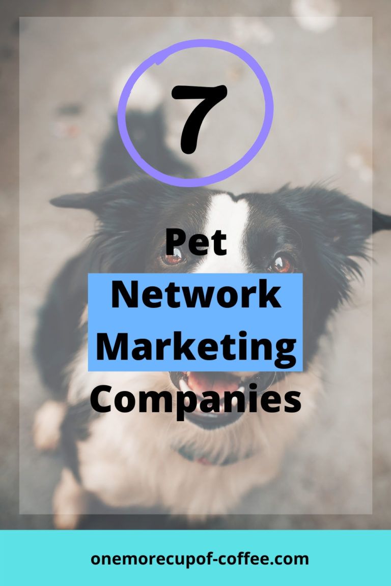 7 Pet Network Marketing Companies That Support You And Your Furry Friend One More Cup of Coffee