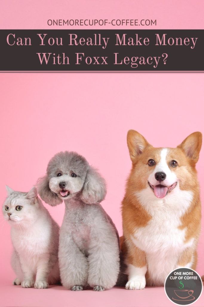 a cat, a poodle, and a corgi lined up against a pink background, with text at the top "Can You Really Make Money With Foxx Legacy?"