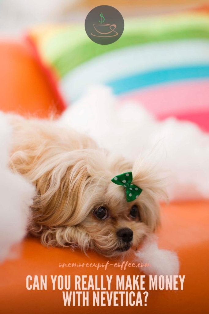 shih tzu with a tiny polka dotted green ribbon resting on an orange couch, with text overlay "Can You Really Make Money With NeVetica?"