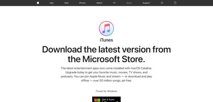 This screenshot of the home page for Apple iTunes has a black navigation bar above a white section with black text inviting shoppers to download the latest version of iTunes.