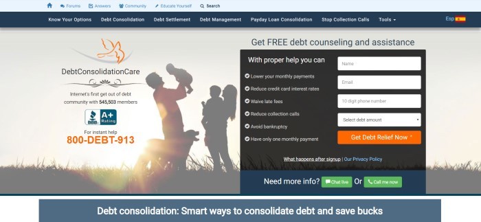 This screenshot of the home page for Debt Consolidation Care includes a beige background and a filtered photo that includes silhouettes of a family, behind black text announcing Debt Consolidation Care as the internet's first get out of debt community, along with an opt-in box for more information.