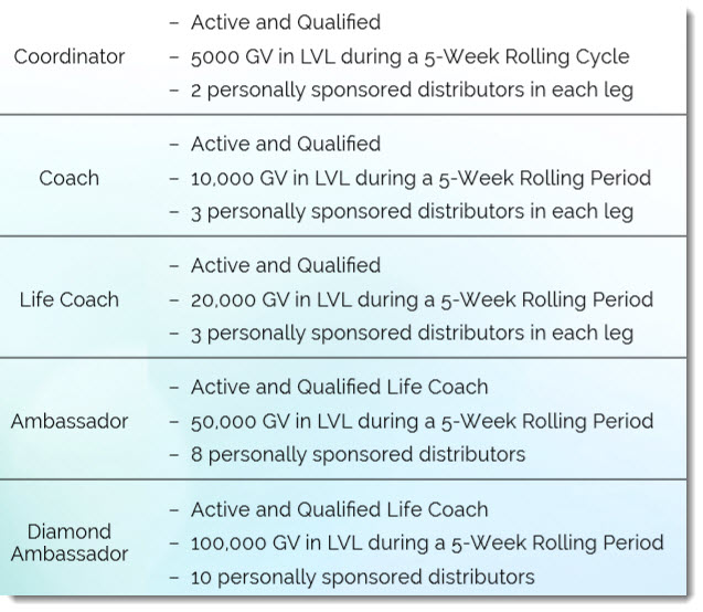 Rank Requirements for the Team Ranks