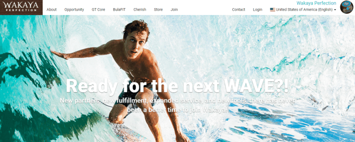 A Wakaya Perfection screenshot showing a young man riding a wave