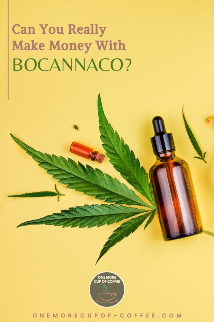 cbd oil in bottles and cannabis leaves against a yellow background, with text on top "Can You Really Make Money With Bocannaco?"