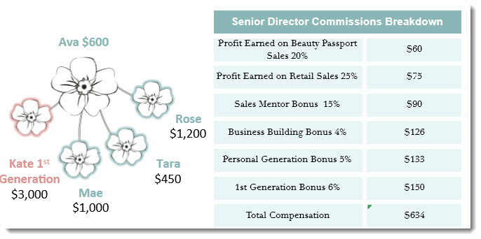 Senior Director Income