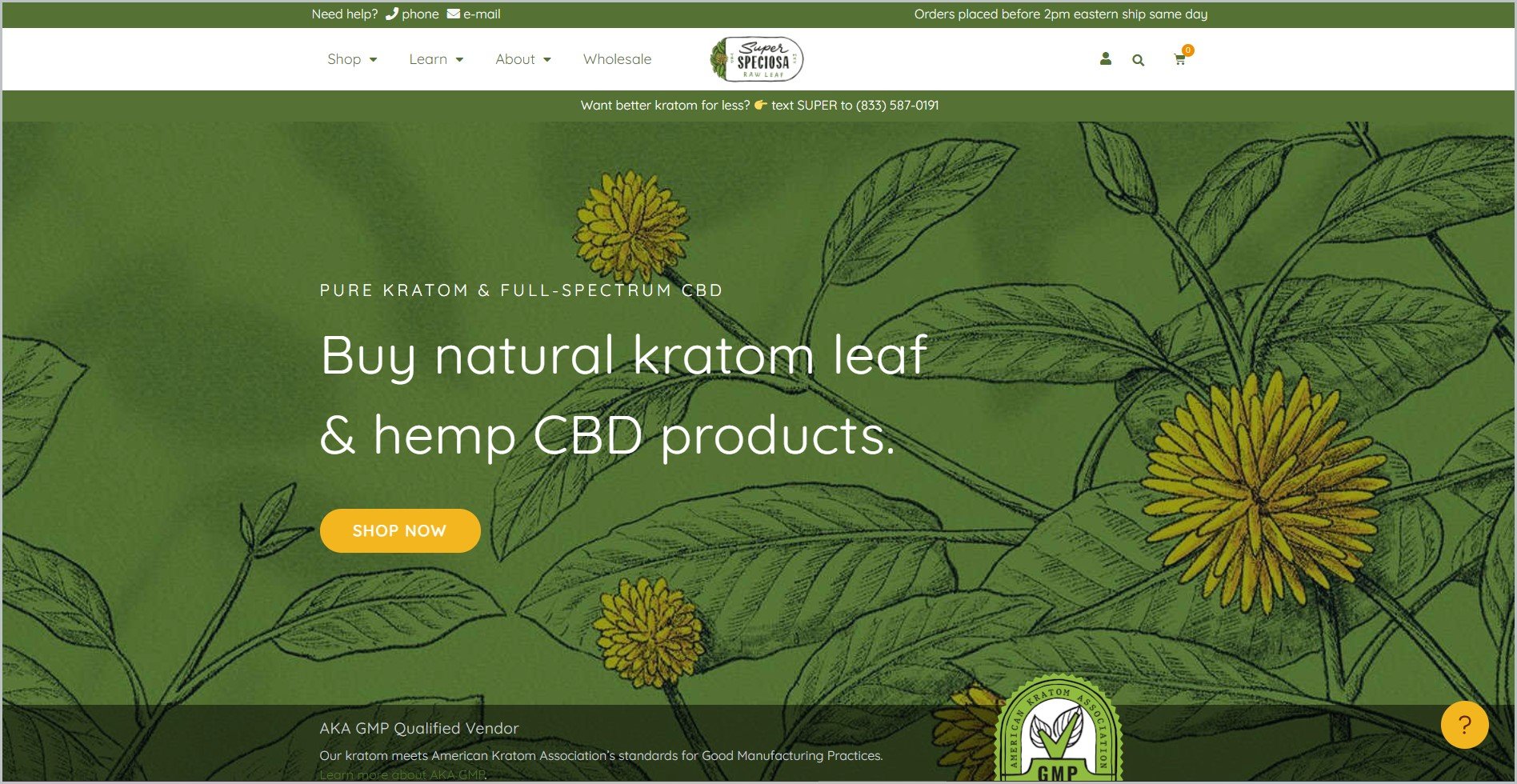 screenshot of Super Speciosa homepage, with white header bearing the website's name and main navigation menu, with a drawing of plants in dominantly green color