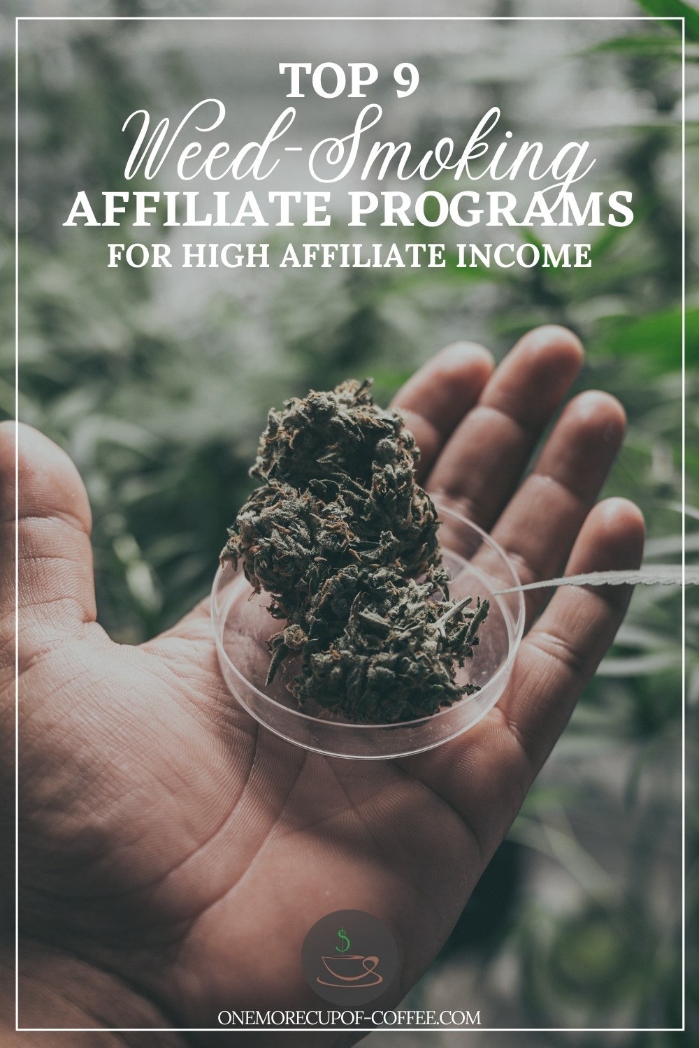 closeup image of a hand holding a round transparent dish with dried marijuana leaves, with marijuana plants at the background; with text overlay "Top 9 Weed-Smoking Affiliate Programs For High Affiliate Income"